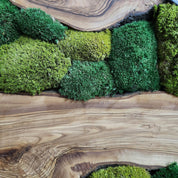 Green Hill | Preserved Moss and Olive Wood Art Piece