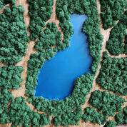 Natural Map | Olive Wood and Pereserved Moss Wall Decor