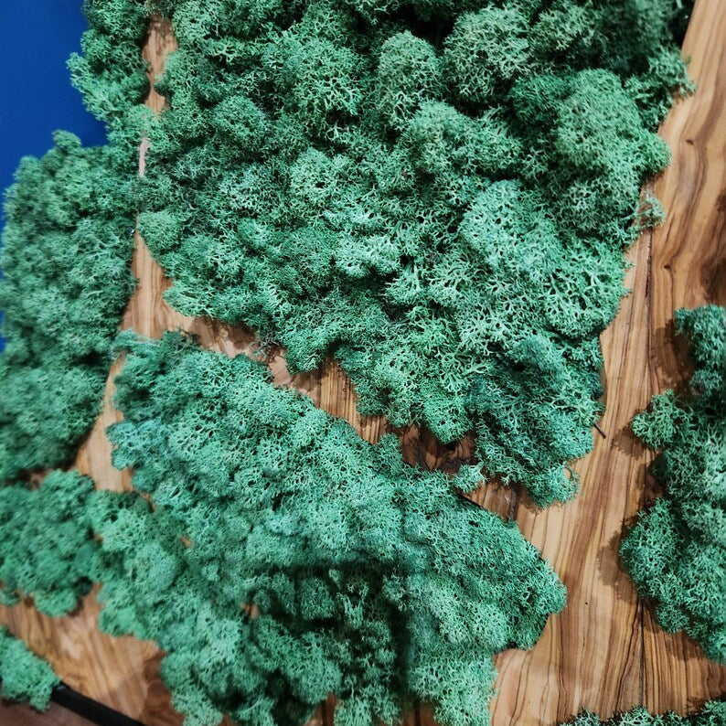 Natural Map | Olive Wood and Pereserved Moss Wall Decor