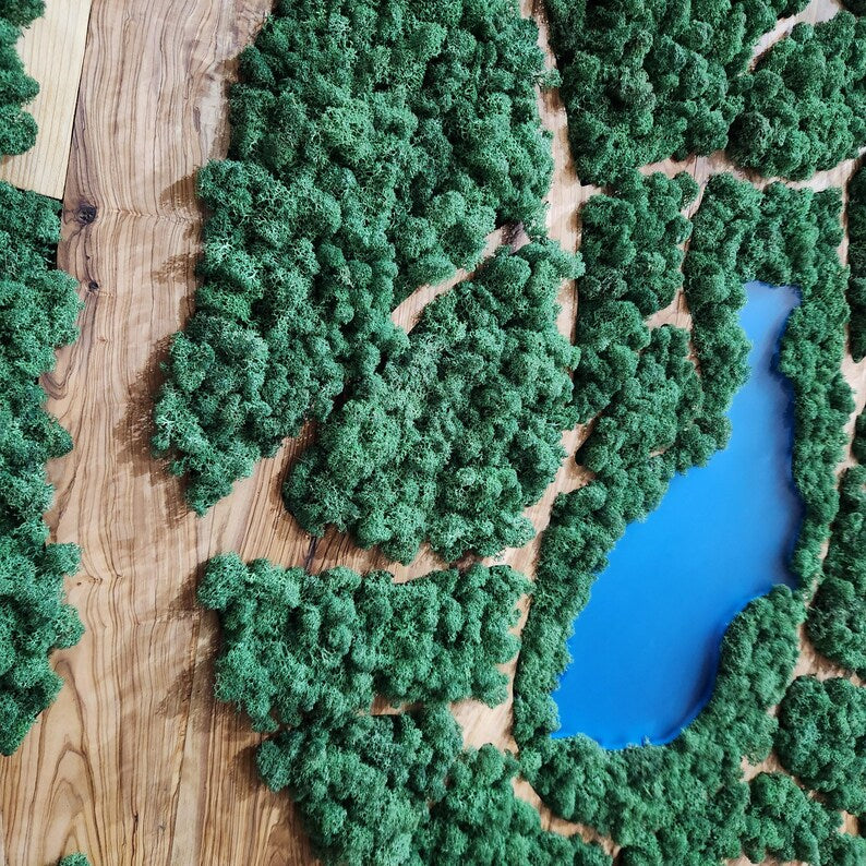 Natural Map | Olive Wood and Pereserved Moss Wall Decor