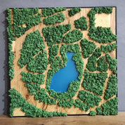 Natural Map | Olive Wood and Pereserved Moss Wall Decor