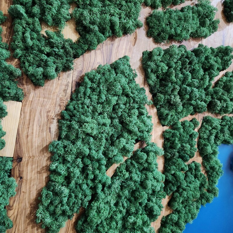Natural Map | Olive Wood and Pereserved Moss Wall Decor