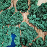 Natural Map | Olive Wood and Pereserved Moss Wall Decor