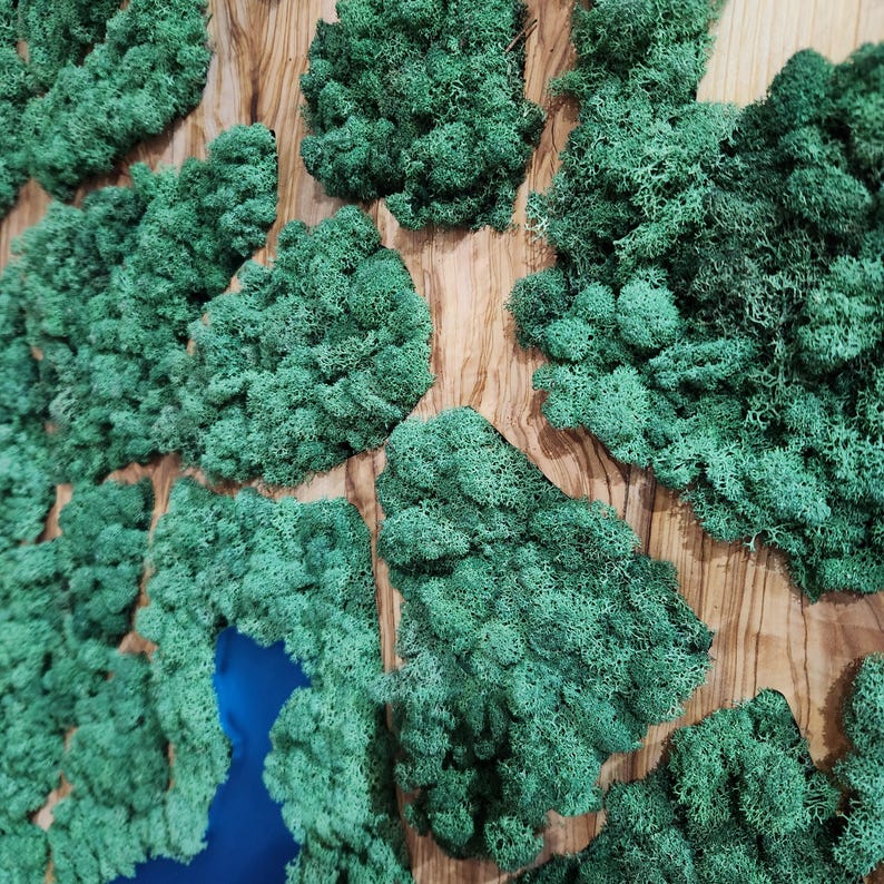 Natural Map | Olive Wood and Pereserved Moss Wall Decor