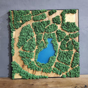 Natural Map | Olive Wood and Pereserved Moss Wall Decor
