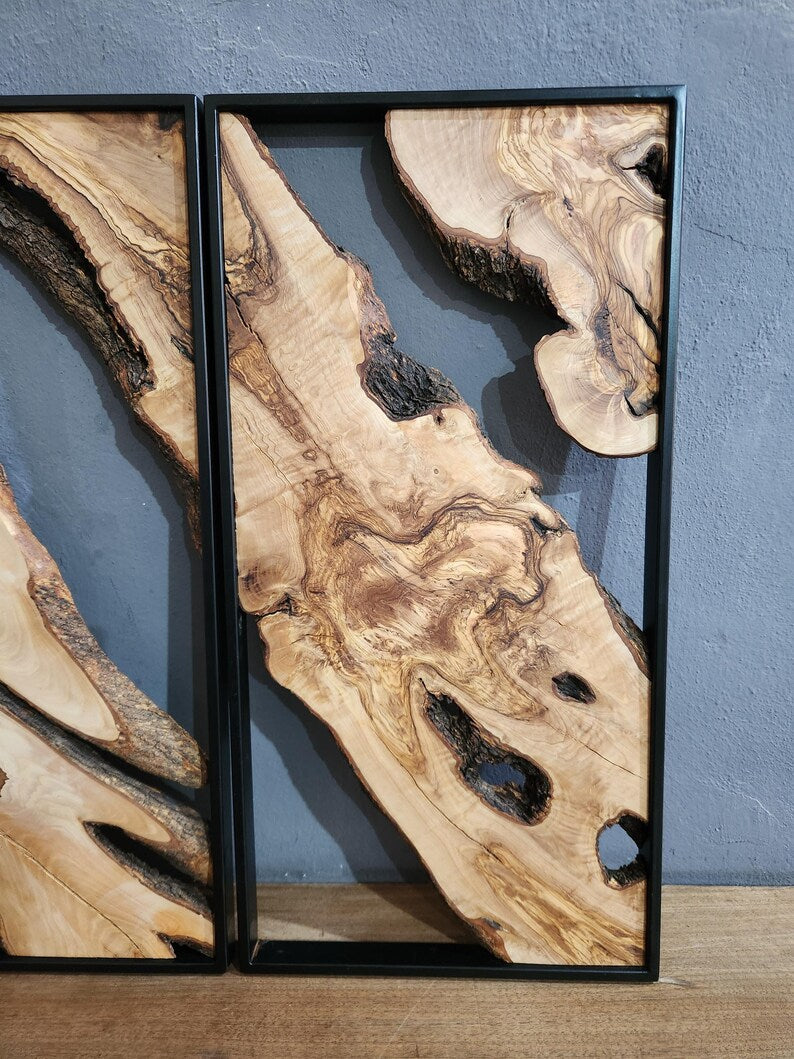 Olive Roots Trio | Metal and Olive Wooden Wall Art