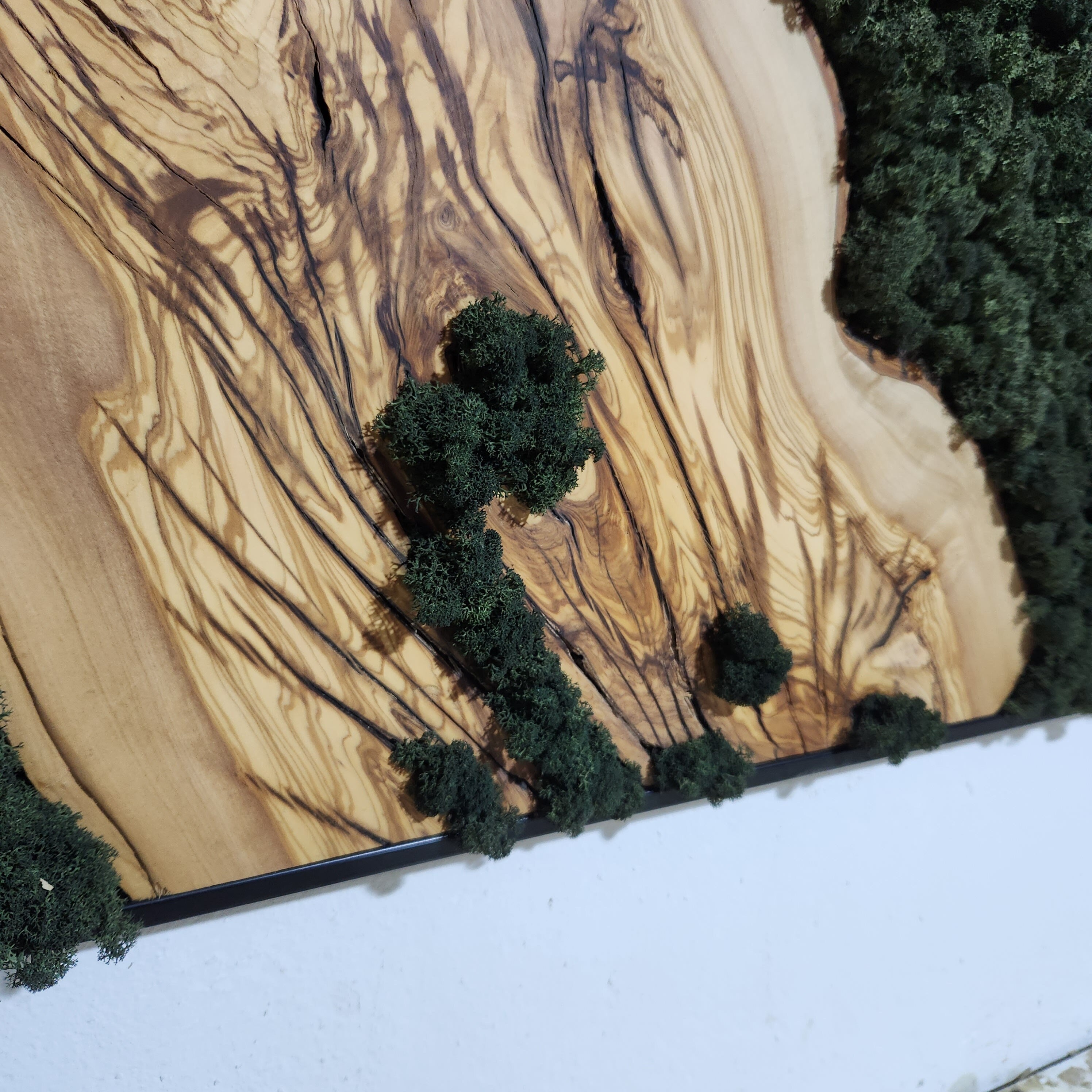 Moss Valley | Olive Wood and Pereserved Moss Wall Decor