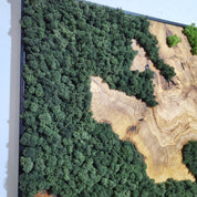 Moss Valley | Olive Wood and Pereserved Moss Wall Decor