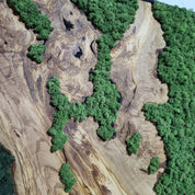 Moss Valley | Olive Wood and Pereserved Moss Wall Decor