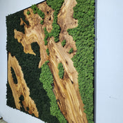 Moss Valley | Olive Wood and Pereserved Moss Wall Decor