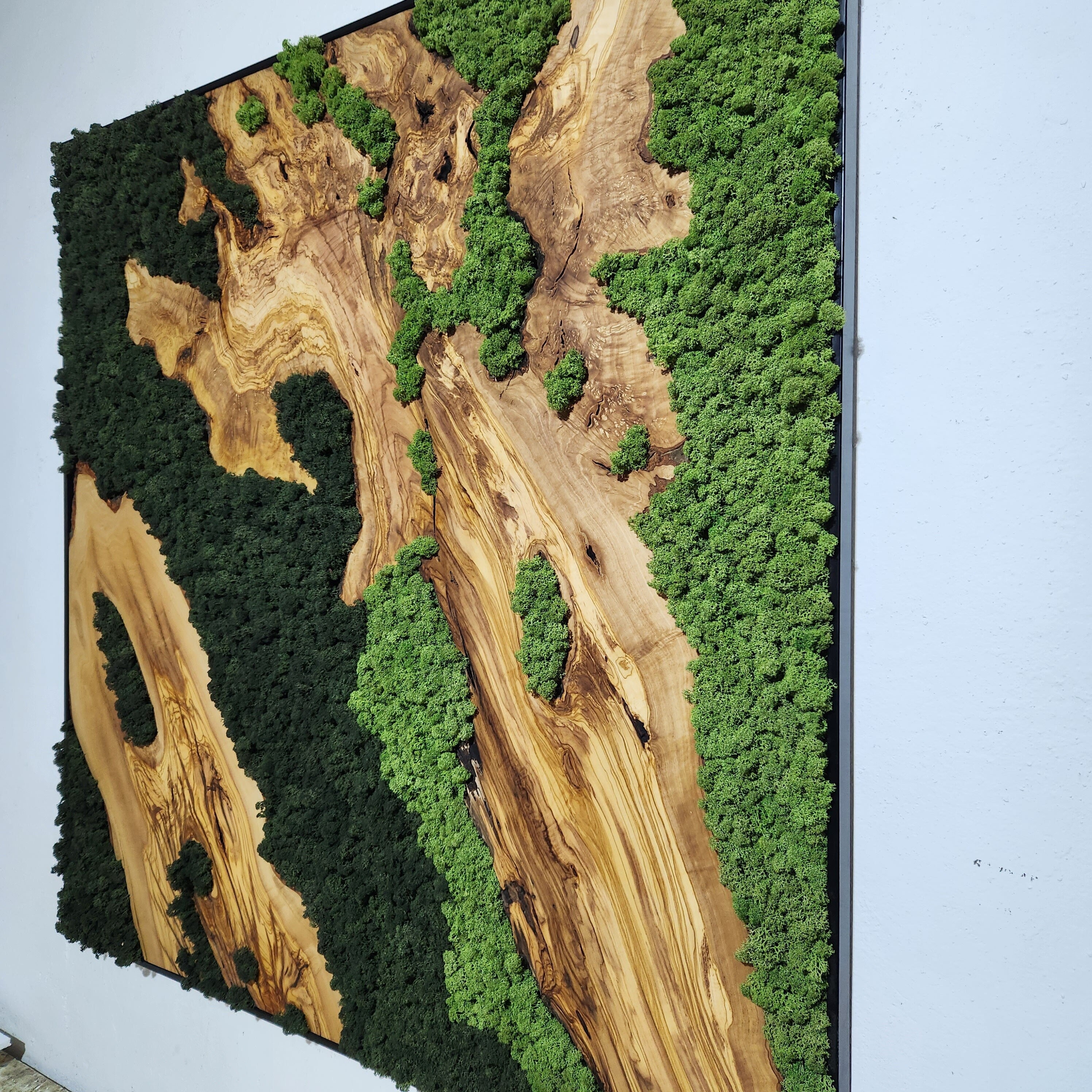 Moss Valley | Olive Wood and Pereserved Moss Wall Decor