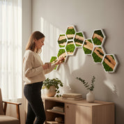 Nature Hive | Olive Wood and Pereserved Moss Wall Decor