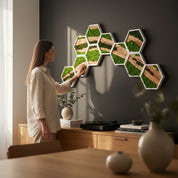 Nature Hive | Olive Wood and Pereserved Moss Wall Decor
