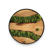 Custom Made Moss and Olive Wood Wall Art | Metal Frame Moss Wall Decor