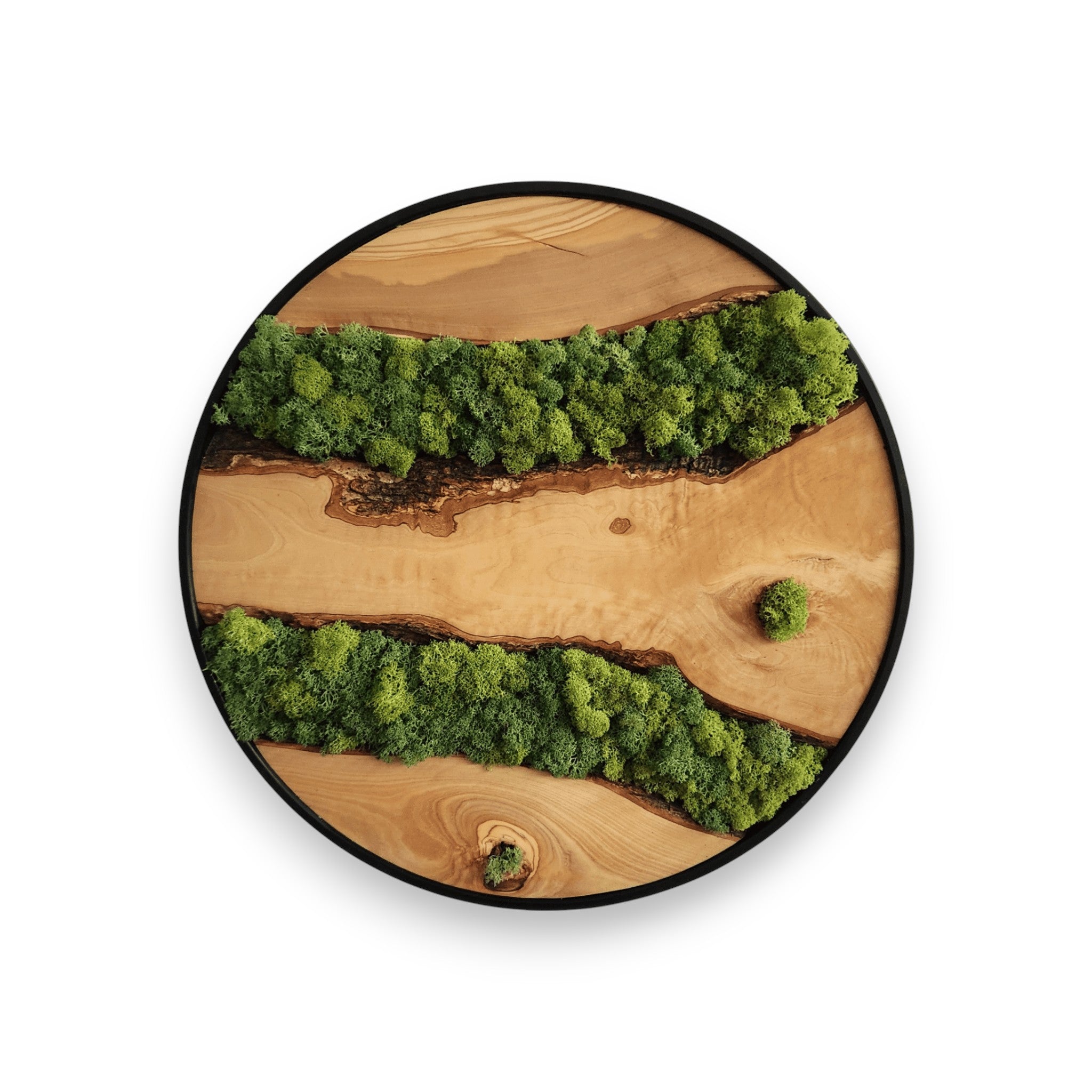 moss-lines-474331.jpg