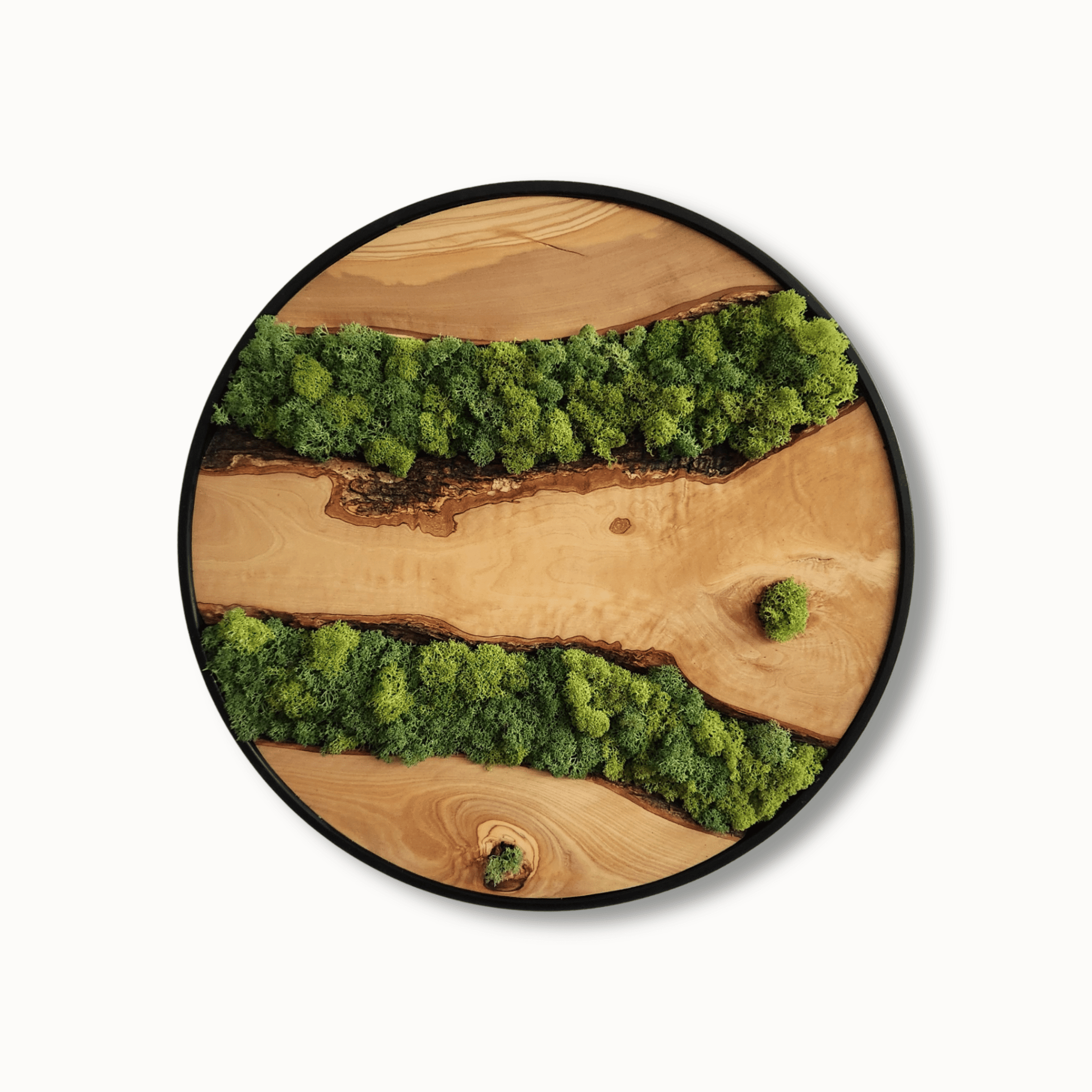 Moss Lines MOSSmood