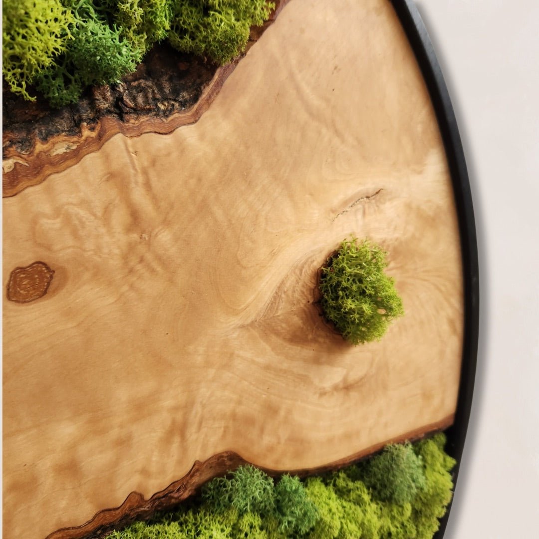 Moss Lines MOSSmood