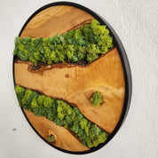 Nature Lens | Preserved Moss and Olive Wood Art Piece