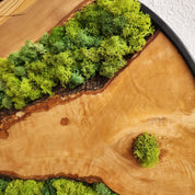 Nature Lens | Preserved Moss and Olive Wood Art Piece