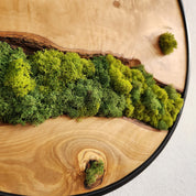 Nature Lens | Preserved Moss and Olive Wood Art Piece