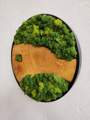 Natural Harmony  | Preserved Moss & Olive Wood Round Wall Decor