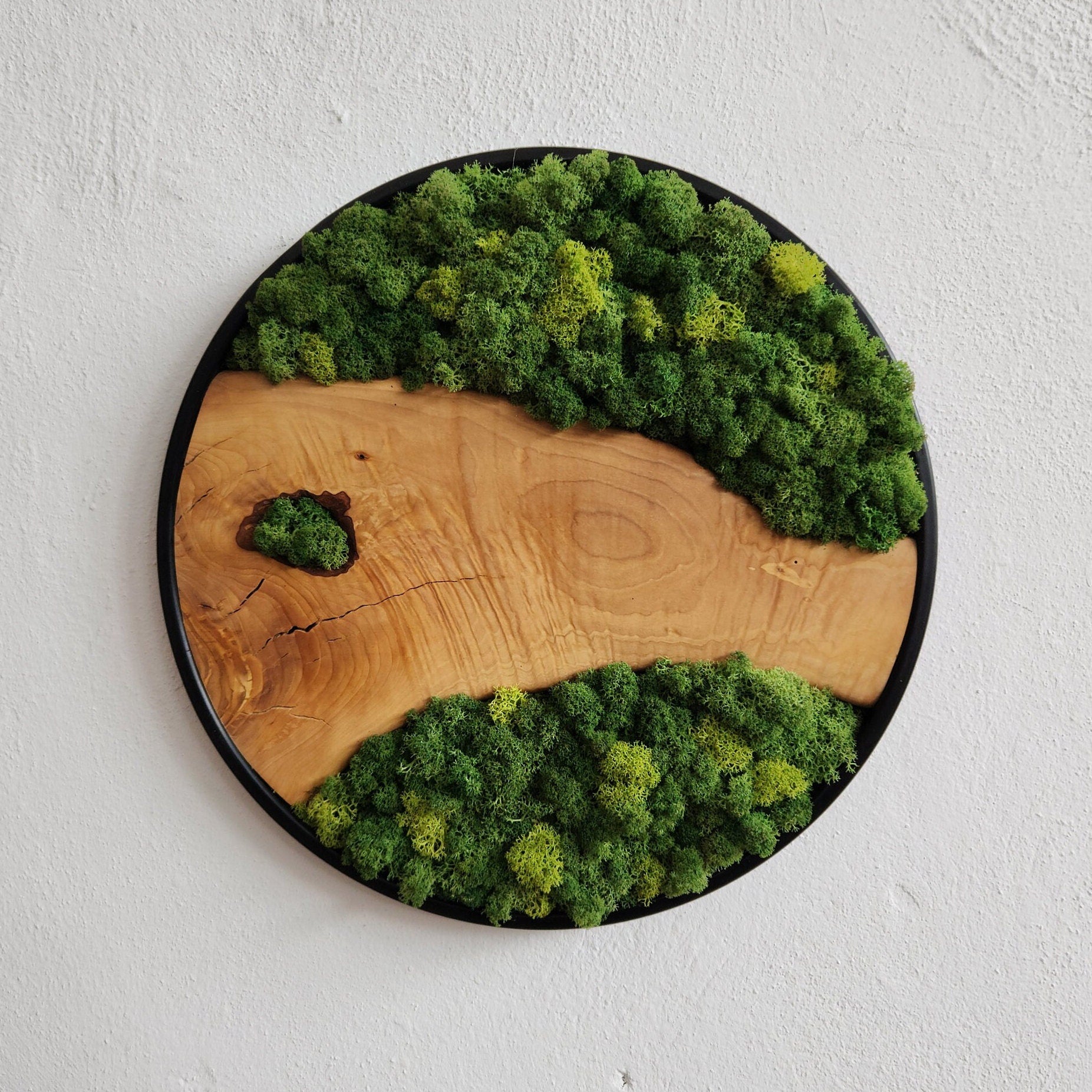 Natural Harmony  | Preserved Moss & Olive Wood Round Wall Decor