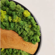 Organic Grove MOSSmood