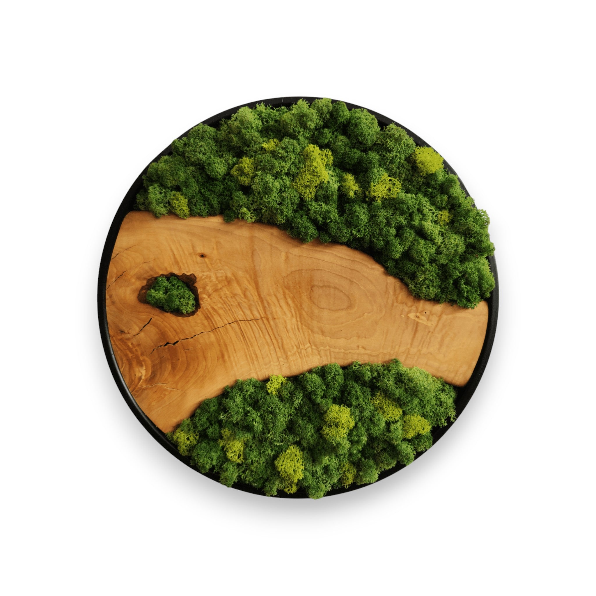 organic-grove-612099.jpg