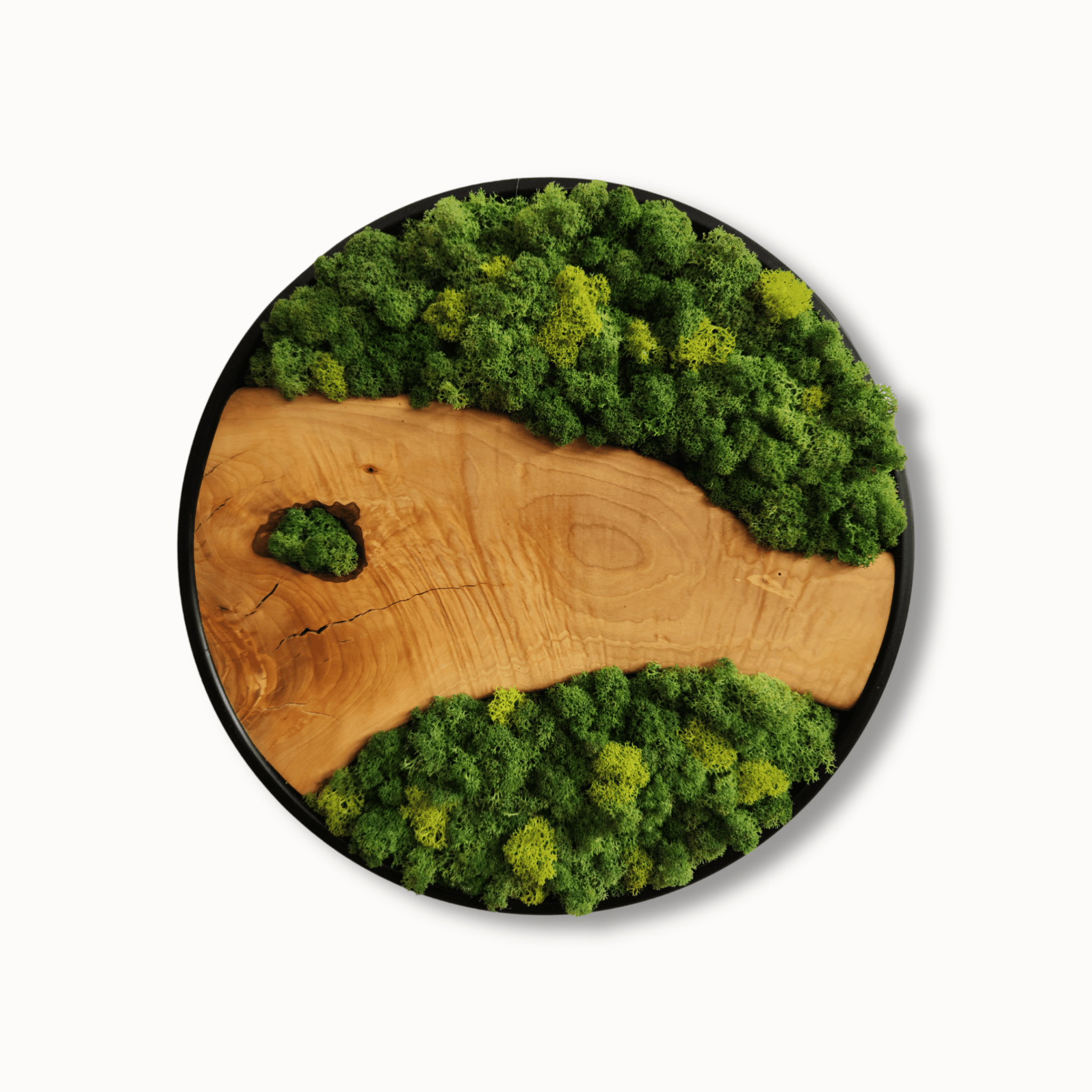 Organic Grove MOSSmood