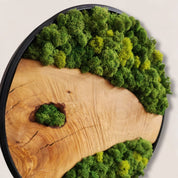 Organic Grove MOSSmood