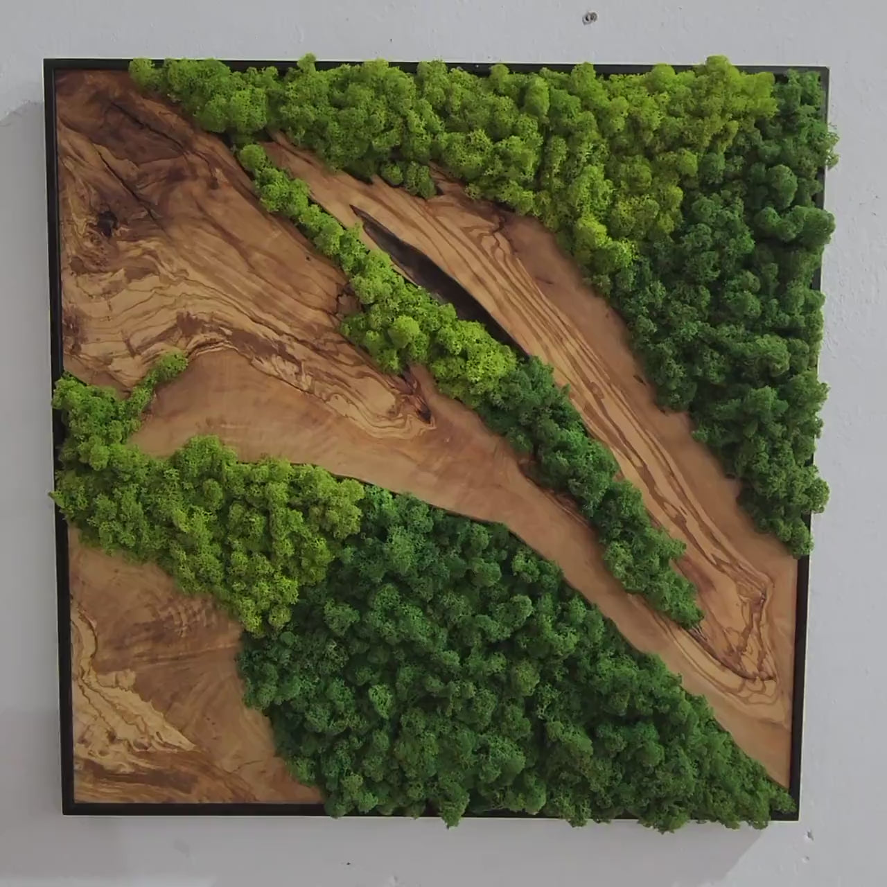 Moss and Olive Wood Wall Art | Metal Frame Moss Wall Decor