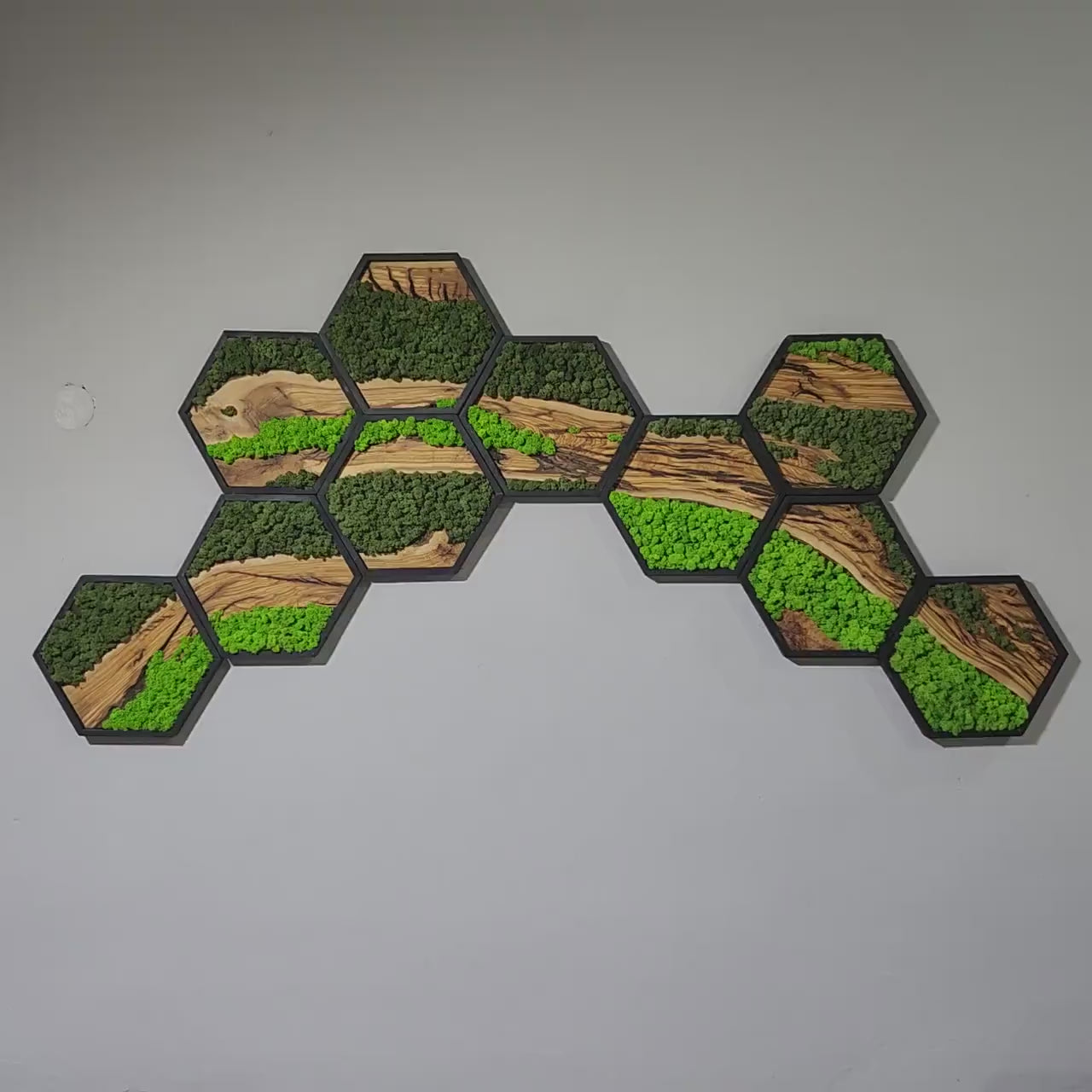 Hexagon Moss Wall Art | Olive Wood & Preserved Moss Design