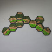 Hexagon Moss Wall Art | Olive Wood & Preserved Moss Design