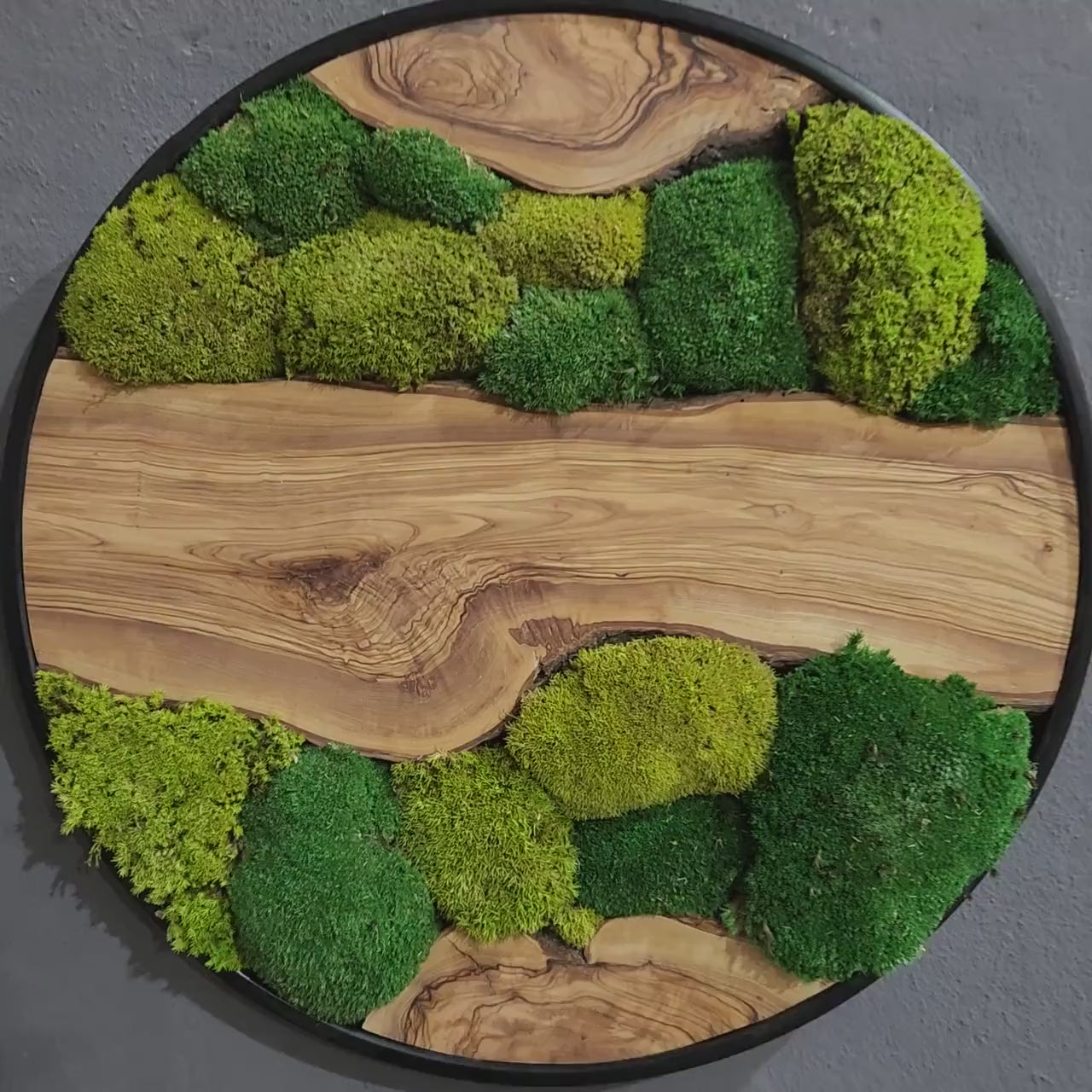 Green Hill | Preserved Moss and Olive Wood Art Piece