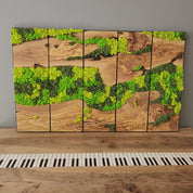 Custom Moss Wall Art | Olive Wood & Metal Frame | Preserved Moss Decor
