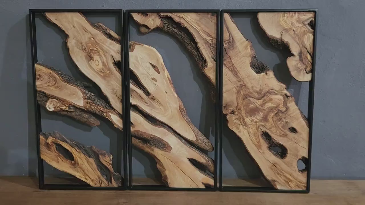 Olive Roots Trio | Metal and Olive Wooden Wall Art