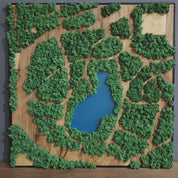 Natural Map | Olive Wood and Pereserved Moss Wall Decor