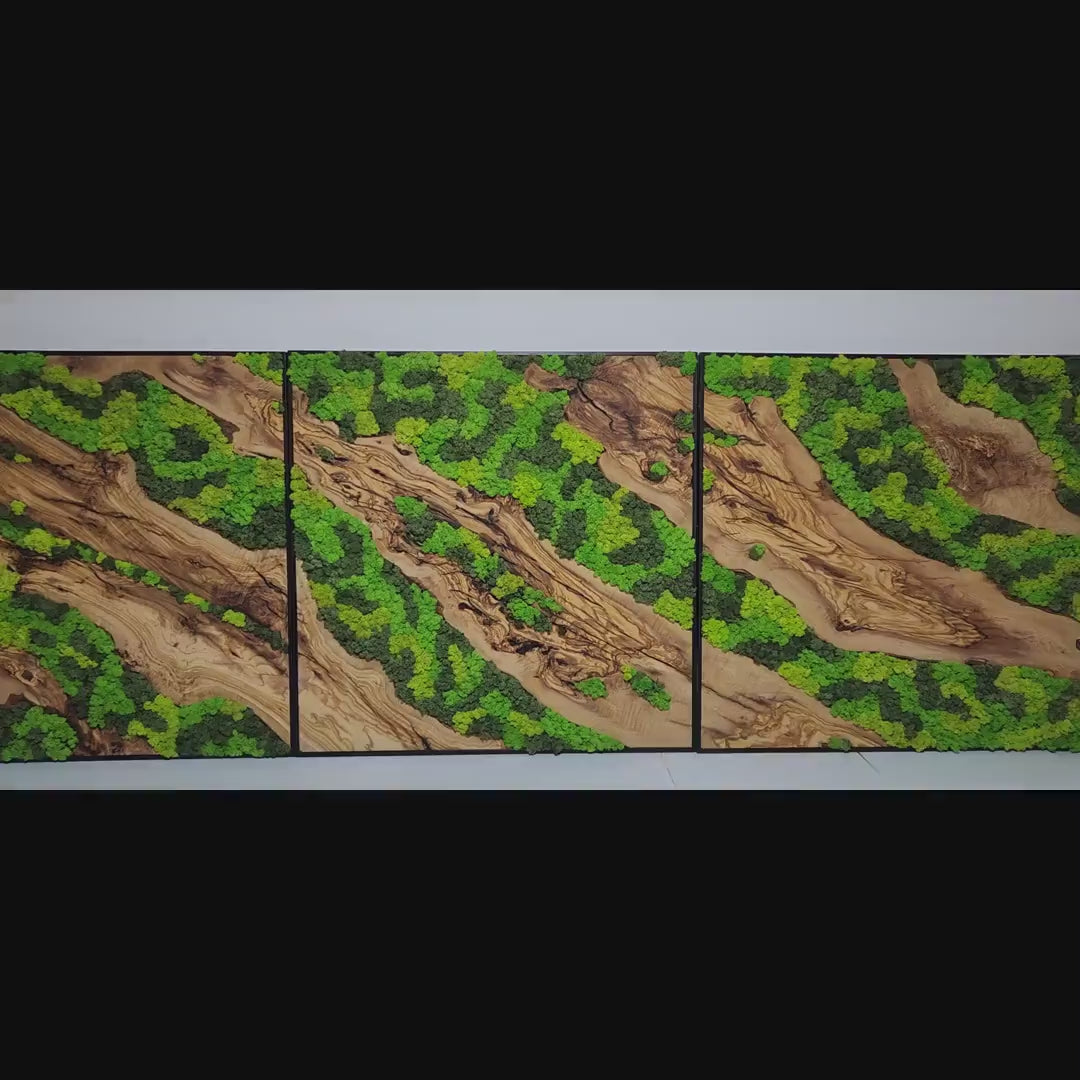 Set of 3 Moss and Olive Wood Wall Art | 3 Piece Framed Moss Wall Decor