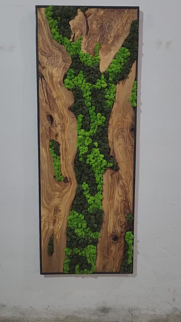 Olive Wood & Preserved Moss Wall Art | Rustic Greenery Decor