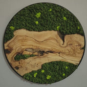 Custom Made Moss and Olive Wood Wall Art | Metal Frame Moss Wall Decor
