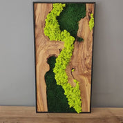 Olive Wood & Preserved Moss Wall Art | Custom Made Piece