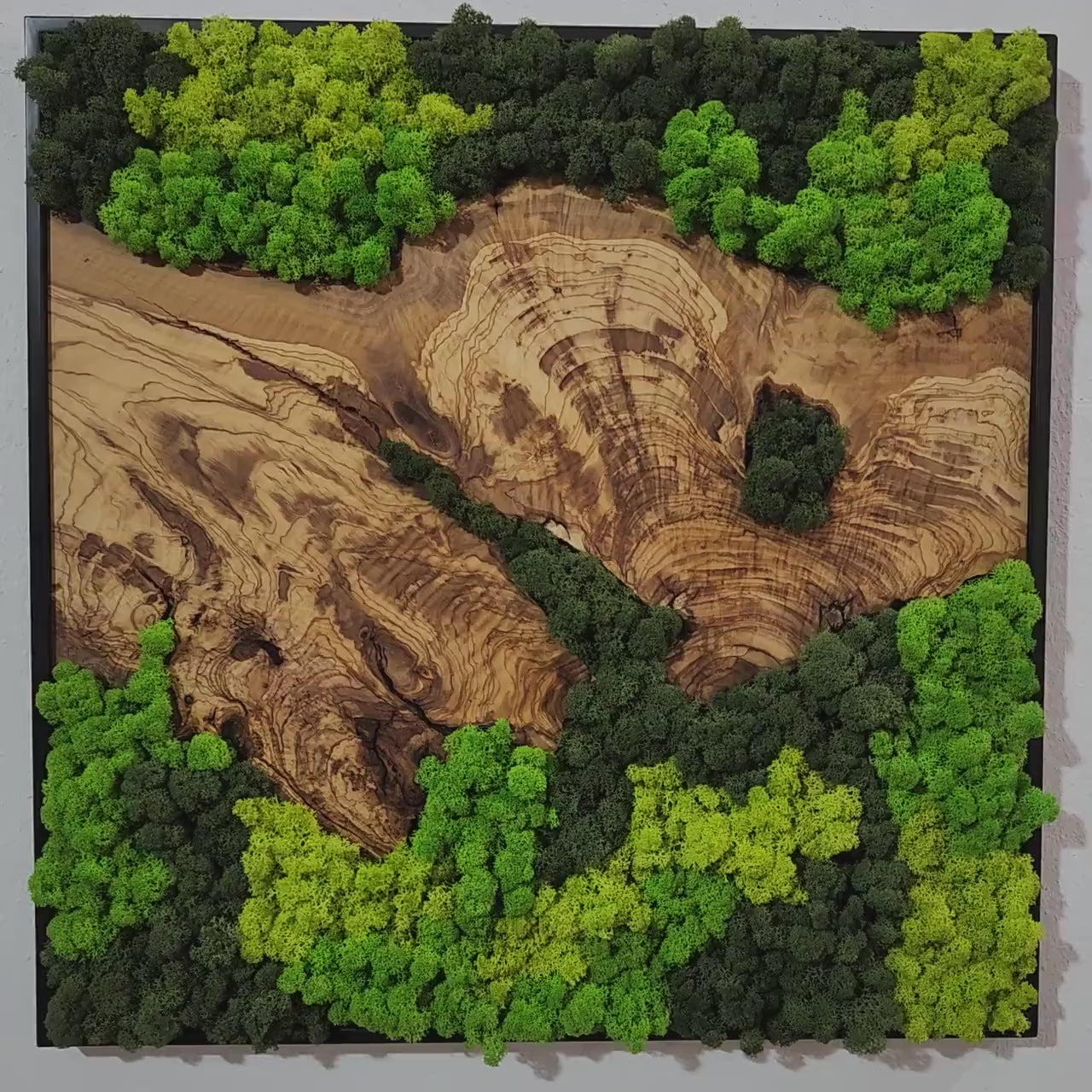 Custom Moss and Olive Wood Wall Art | Metal Frame | Preserved Moss Decor