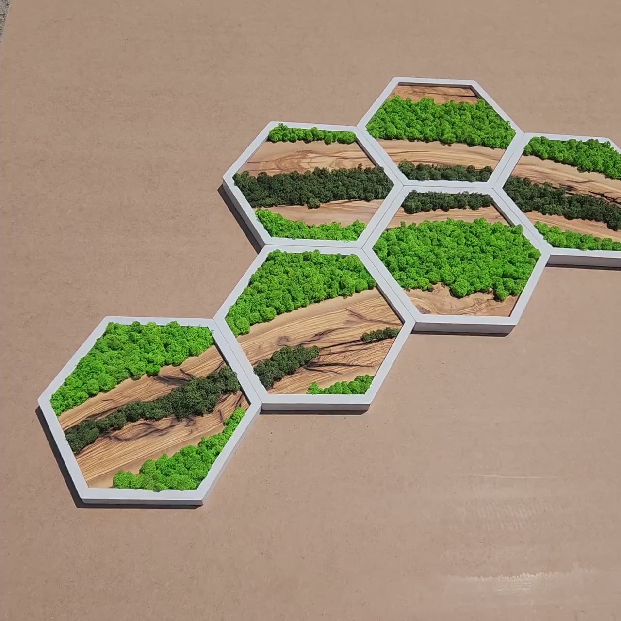 Nature Hive | Olive Wood and Pereserved Moss Wall Decor