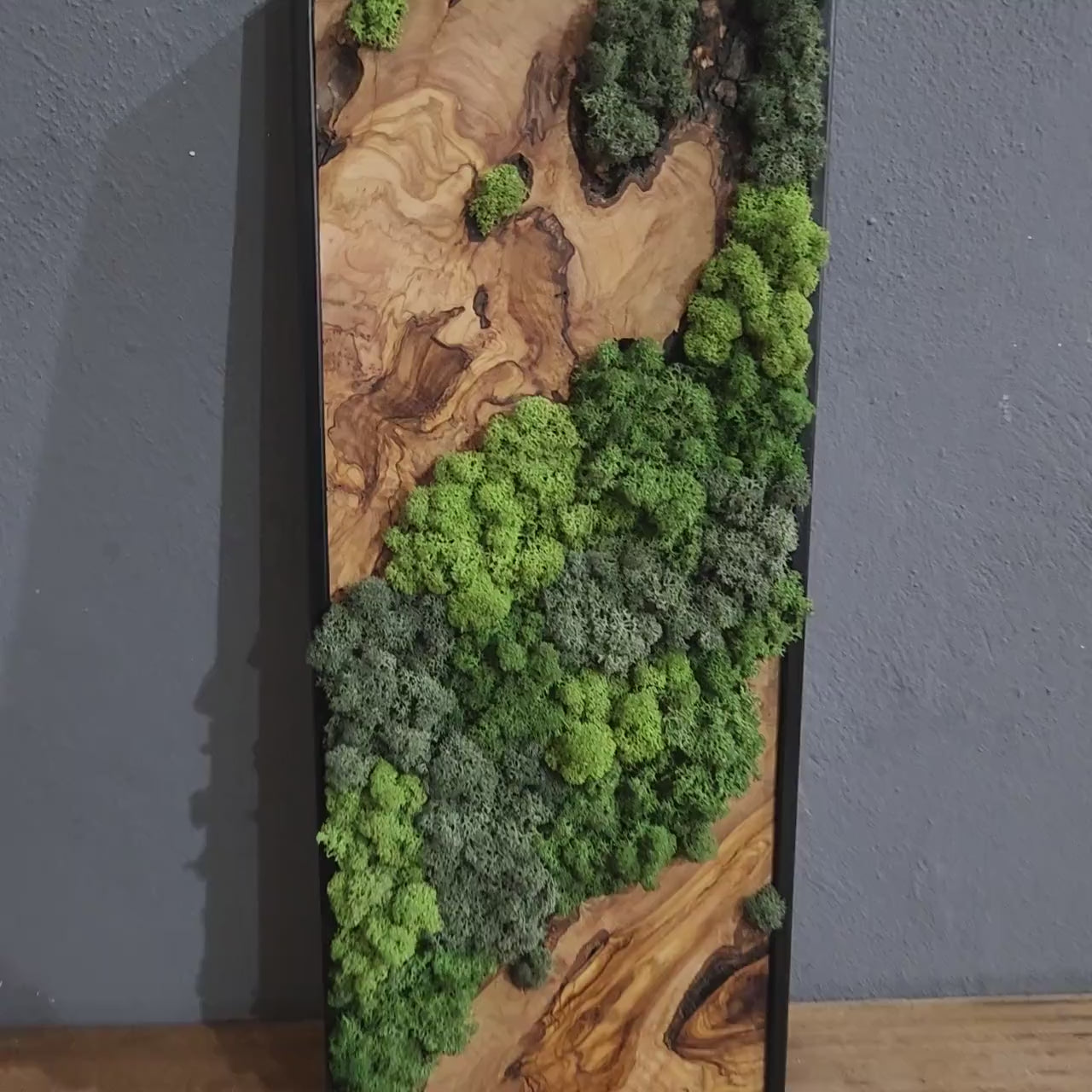 Nature Fusion | Olive Wood and Pereserved Moss Wall Decor