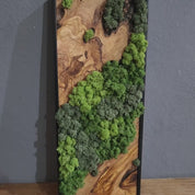 Nature Fusion | Olive Wood and Pereserved Moss Wall Decor