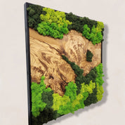 Custom Moss And Olive Wood Wall Art With Metal Frame MOSSmood