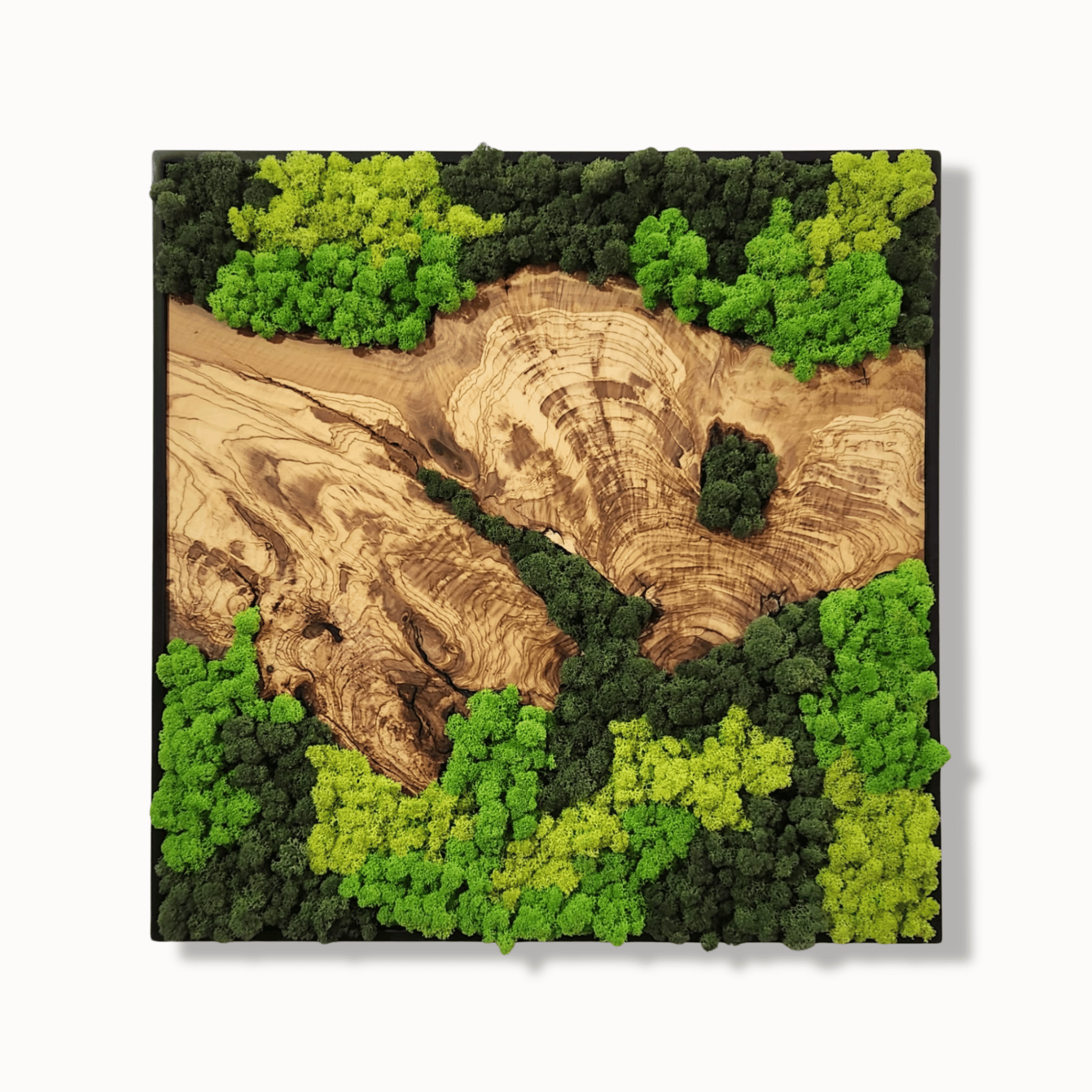 Custom Moss And Olive Wood Wall Art With Metal Frame MOSSmood
