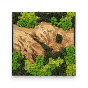 Custom Moss and Olive Wood Wall Art | Metal Frame | Preserved Moss Decor