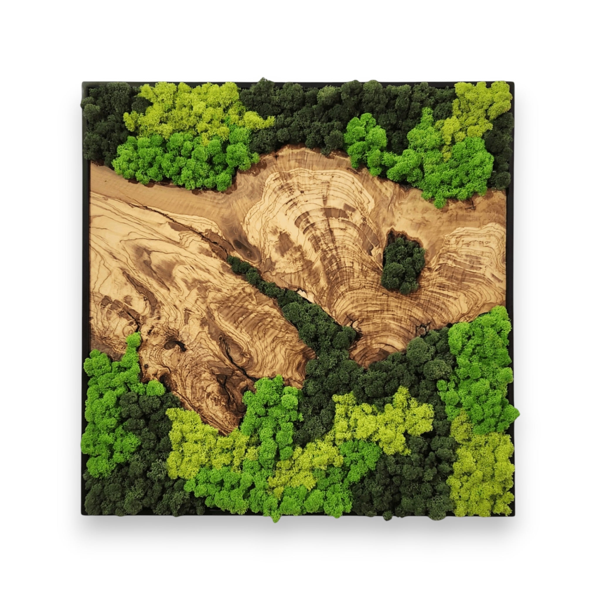 woodland-bliss-612599_1.jpg