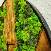 Timeless Forest | Olive Wood & Preserved Moss Wall Clock